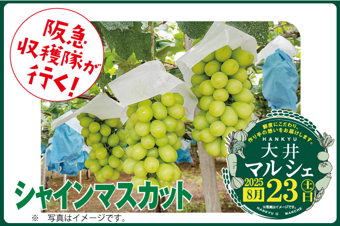 恒例“大井マルシェ” 