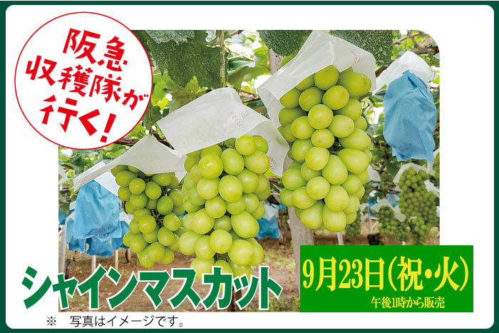 とっておきのフルーツ！